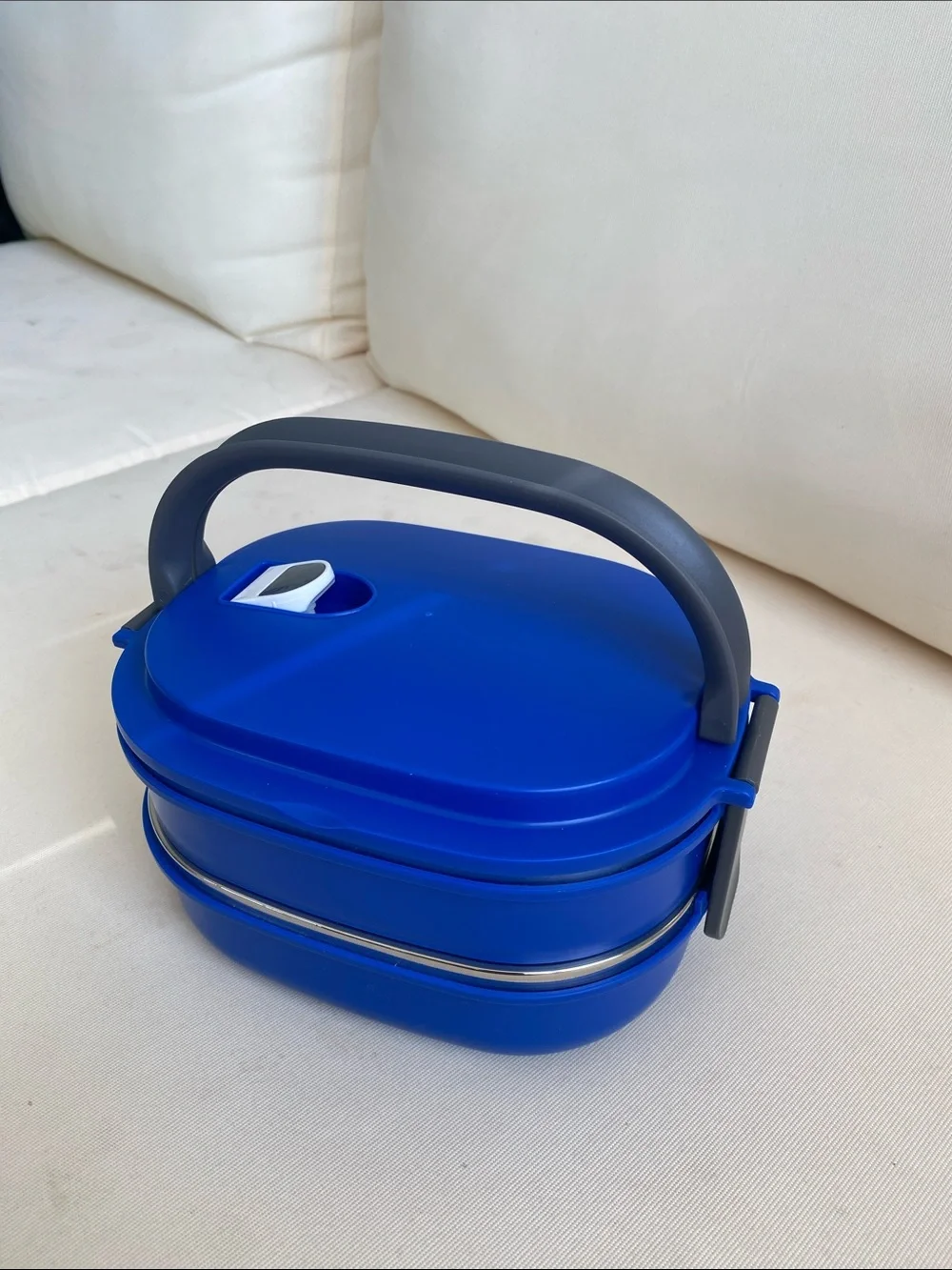 Blue Stainless Steel Lunch Box Set with Carry Handle